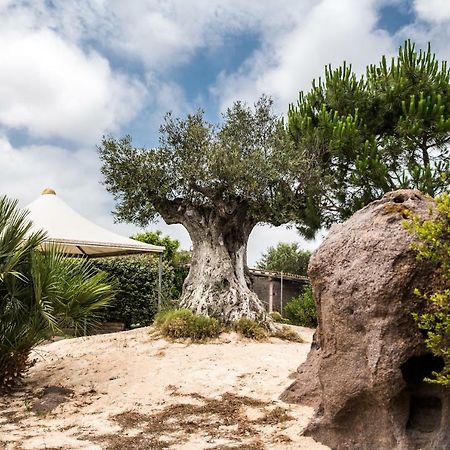 B&B Il Cenerino SantʼAntìoco Zewnętrze zdjęcie
